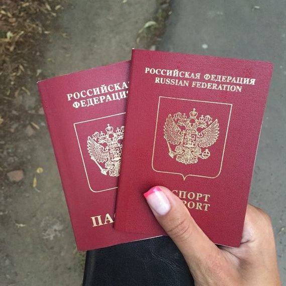 прописка в Вологде